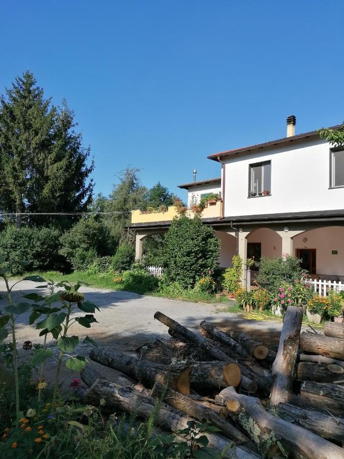 Vila Le Camelie Polverara Exteriér fotografie