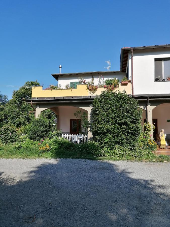 Vila Le Camelie Polverara Exteriér fotografie